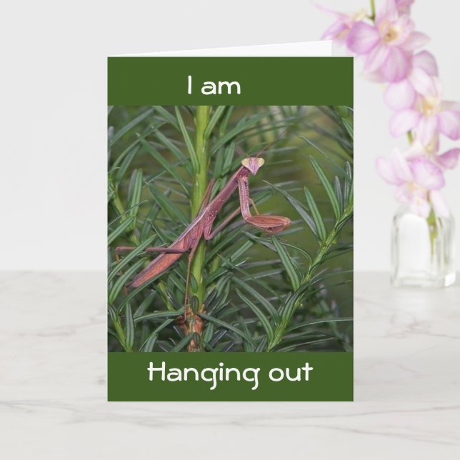 HANGING OUT SO I CAN SAY HAPPY BIRTHDAY CARD (Orchid)