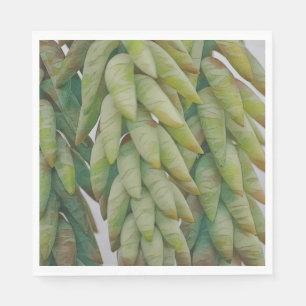 Hanging Succulent Napkin