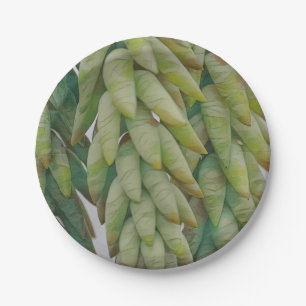 Hanging Succulent Paper Plate