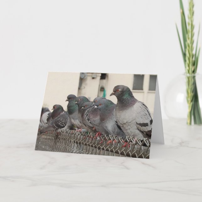 hanging with the boys card (Front)