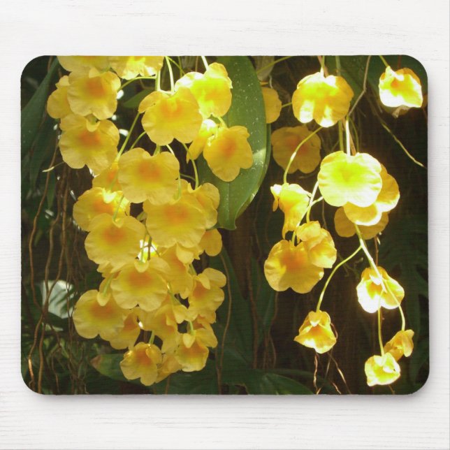 Hanging Yellow Orchids Tropical Flowers Mouse Pad (Front)