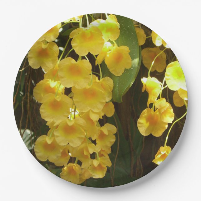 Hanging Yellow Orchids Tropical Flowers Paper Plate (Front)