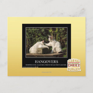 Hangovers Postcard