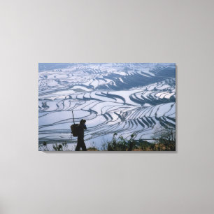 Hani girl carrying basket with rice terrace, canvas print