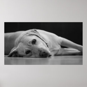 Hank 'ONE' Canvas Poster