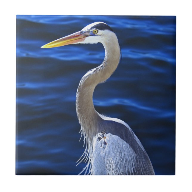 Hank the Heron Tile (Front)