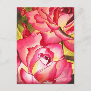 Hannah Gordon pink rose flower watercolor art Postcard