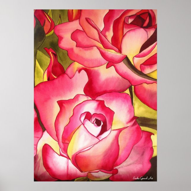 Hannah Gordon pink rose watercolor art Poster (Front)