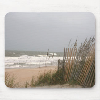 hannah rolls in mouse pad