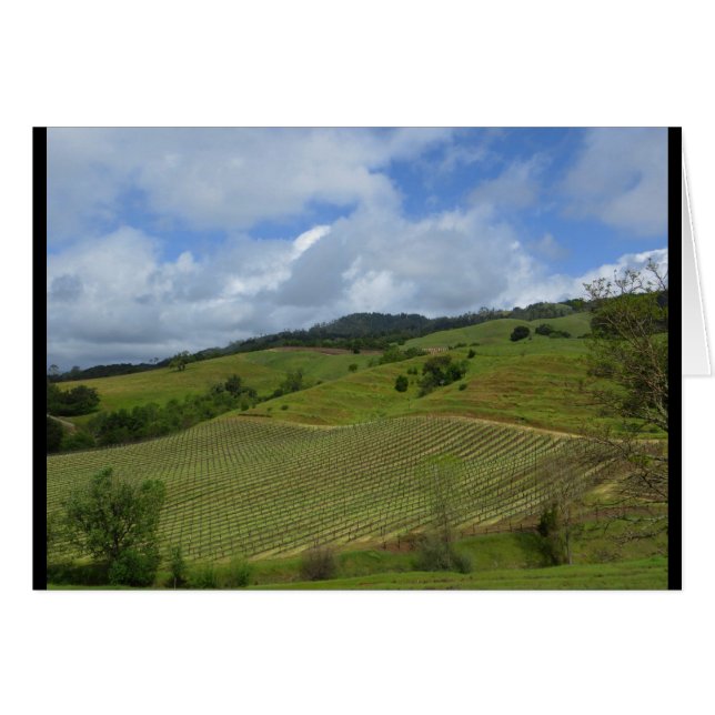 Hannah Winery View April 2018 (Front Horizontal)