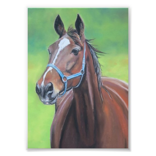 Hanover Horse Art Photo Print (Front)