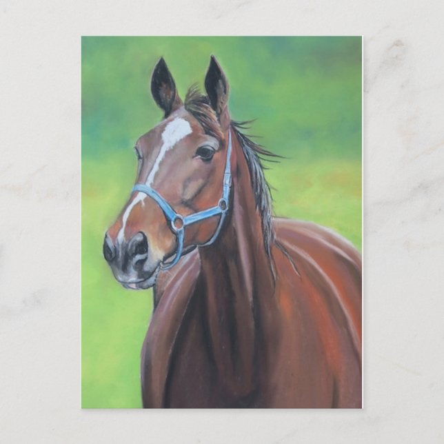 Hanover Horse Art Postcard (Front)