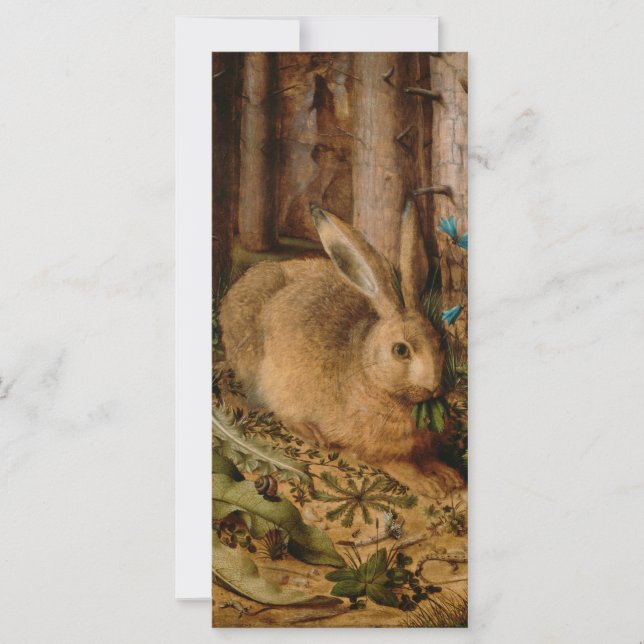 Hans Hoffmann A Hare In The Forest (Front)