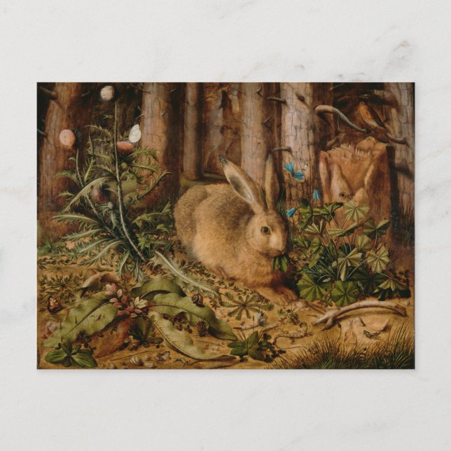 Hans Hoffmann A Hare In The Forest Postcard (Front)