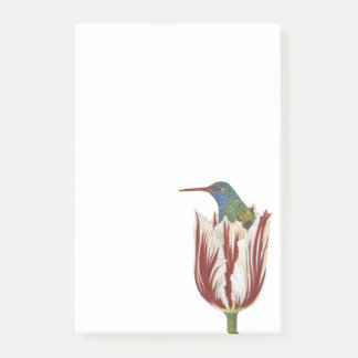 Hans the hummingbird in a tulip Post-it note pad