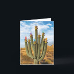 Hanukkah Greeting Card - Prickly Menorah<br><div class="desc">About this item * INSIDE GREETING: "Warm Wishes for a Happy Hanukkah!" COVER - [image of cactus in shape of menorah with candles] * CARD SIZE - Receive 1, regular sized notecard with 5x7 Inch envelope. We offer funny cards that come either blank or greeted inside, so be sure to...</div>
