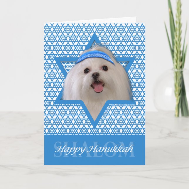 Hanukkah Star of David - Maltese Holiday Card (Front)