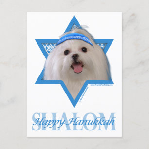 Hanukkah Star of David - Maltese Holiday Postcard