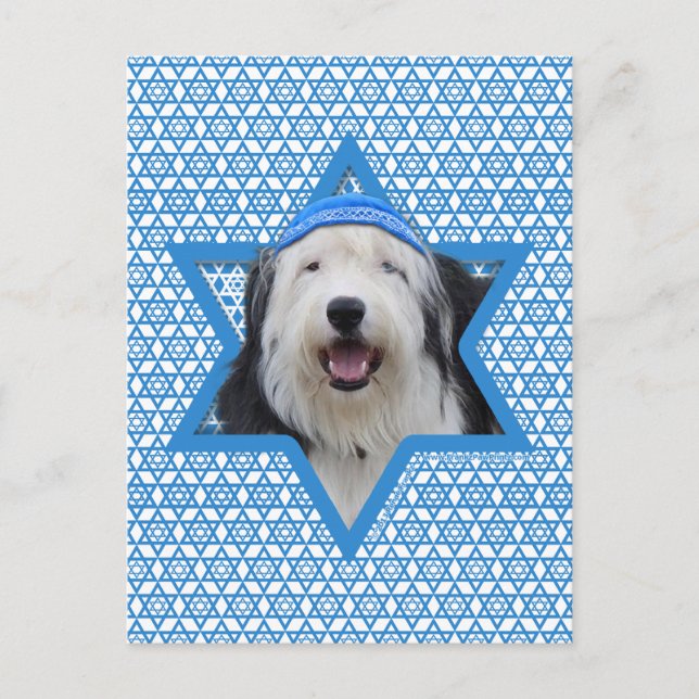 Hanukkah Star of David - Old English Sheepdog Holiday Postcard (Front)