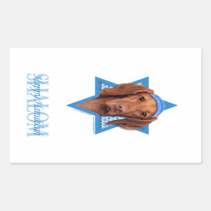 Hanukkah Star of David - Vizsla - Reagan Sticker