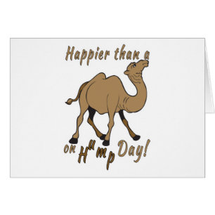 Happier than a Camel on Hump Day