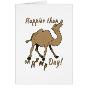 Happier than a Camel on Hump Day