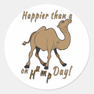 Happier than a Camel on Hump Day Classic Round Sticker