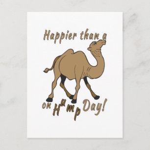 Happier than a Camel on Hump Day Postcard
