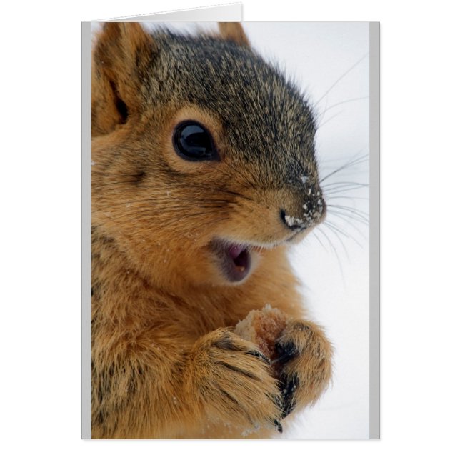 Happiest Squirrel Ever (Front)