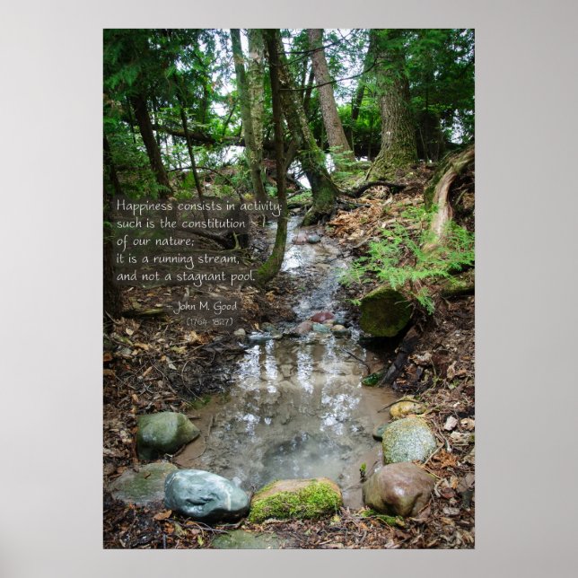 Happiness consists in activity poster (Front)