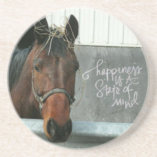 Happiness Horse Coaster