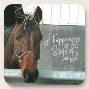 Happiness Horse Coaster