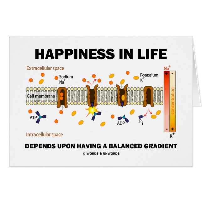 Happiness In Life Depends Upon Balanced Gradient (Front Horizontal)