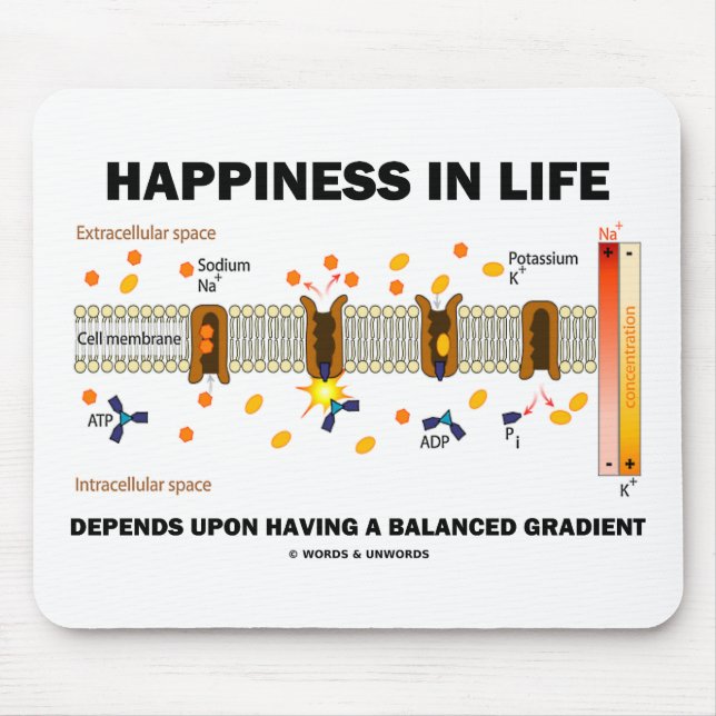 Happiness In Life Depends Upon Balanced Gradient Mouse Pad (Front)