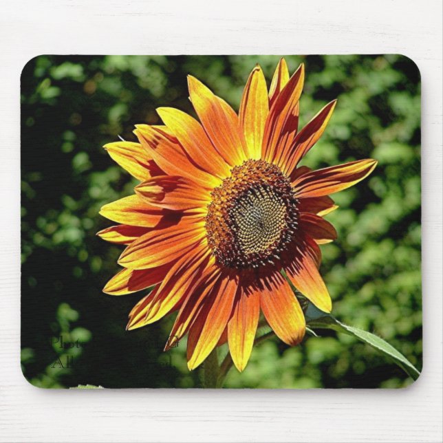 "Happiness in Orange" Mouse Pad (Front)