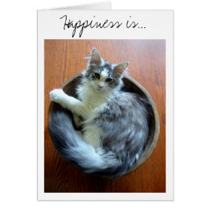 Happiness is a bowl full of kitten card
