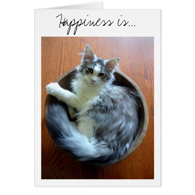 Happiness is a bowl full of kitten card (Front)