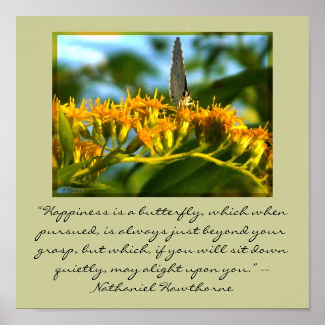 Happiness is a Butterfly framed print (Front)