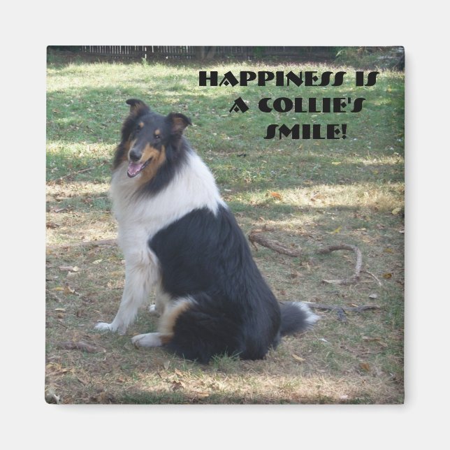 Happiness Is A Collie's Smile Magnet (Front)