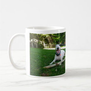 Happiness is a good stick mug