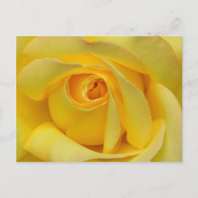 Happiness_ Postcard (Front)