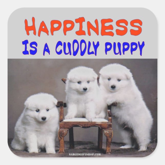 HAPPINESS SQUARE STICKER (Front)