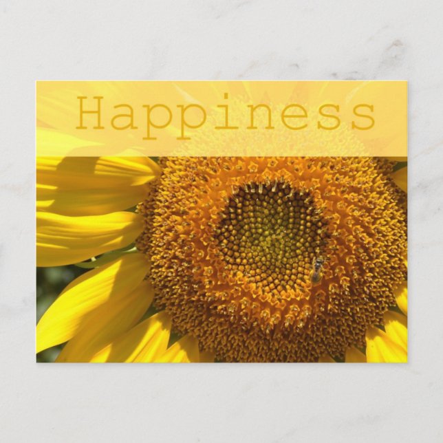 Happiness Sunflower Post Card (Front)