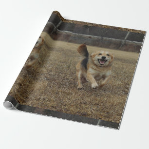 Happiness Wrapping Paper