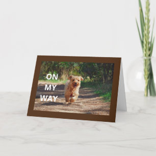 **HAPPY 1st  BIRTHDAY" SPECIAL BABY  Card