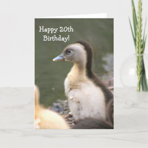 Happy 20th Birthday Duckling greeting card