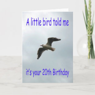 Happy 20th Birthday Flying Seagull bird Card