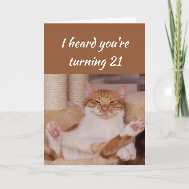 Happy 21st Birthday Celebrate Funny Cat Card (Front)