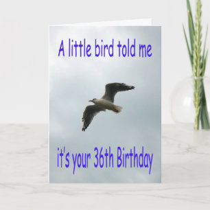 Happy 36th Birthday Flying Seagull bird Card