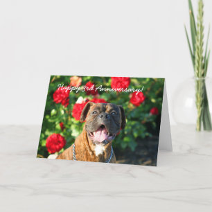 Happy 3rd Anniversary Boxer Dog Greeting Card